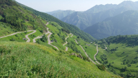 IMG-20250612-WA0005